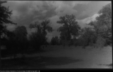 Bęćkowo, ogród dworski