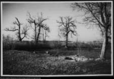 Bęćkowo, otoczenie dworu