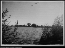 Tybory-Kamianka, Pałac Roszkowskich