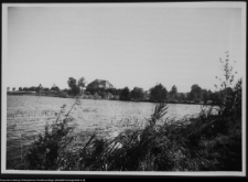 Tybory-Kamianka, Pałac Roszkowskich