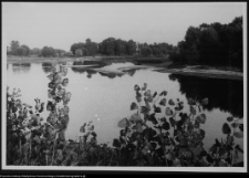 Tybory-Kamianka, Pałac Roszkowskich