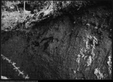 Wizna, Góra Zamkowa - badania archeologiczne