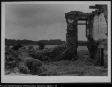 Tybory-Kamianka, Pałac Roszkowskich