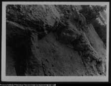 Tybory-Kamianka, Pałac Roszkowskich