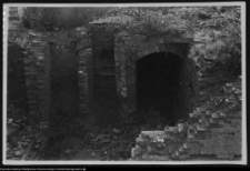 Tybory-Kamianka, Pałac Roszkowskich