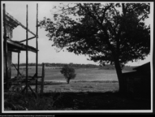 Tybory-Kamianka, stawy w pobliżu dworu