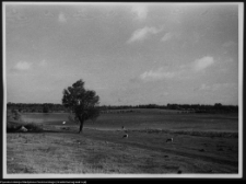 Tybory-Kamianka, stawy w pobliżu dworu