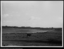 Tybory-Kamianka, stawy w pobliżu dworu