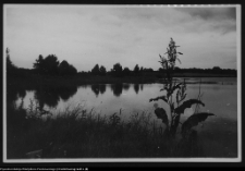 Tybory-Kamianka, stawy w pobliżu dworu