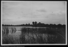 Tybory-Kamianka, Pałac Roszkowskich