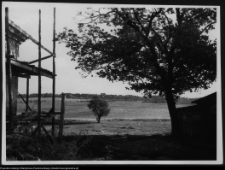 Tybory-Kamianka, stawy w pobliżu dworu