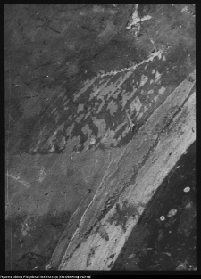 Supraśl, pobazyliański zespół cerkiewno-klasztorny