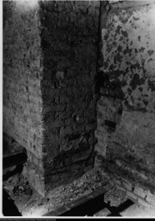 Szczuczyn, Dom Szczuków