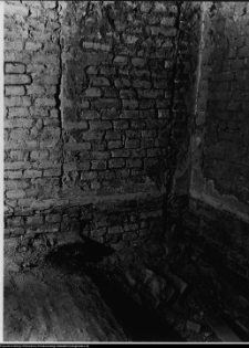 Szczuczyn, Dom Szczuk&oacute;w