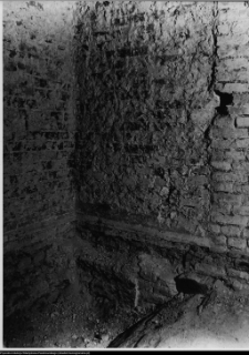 Szczuczyn, Dom Szczuk&oacute;w