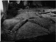 Szczuczyn, Dom Szczuk&oacute;w