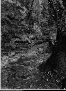 Szczuczyn, Dom Szczuków