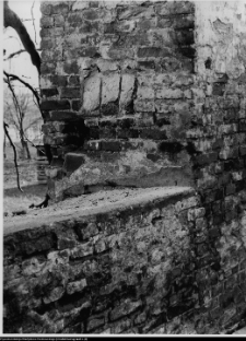 Szczuczyn, Dom Szczuków