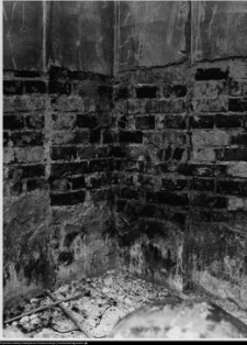 Szczuczyn, Dom Szczuk&oacute;w