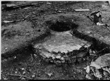 Szczuczyn, Dom Szczuków