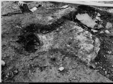 Szczuczyn, Dom Szczuków