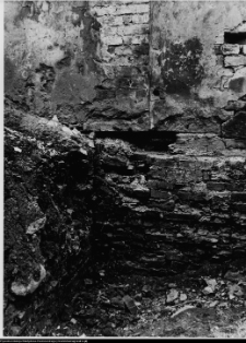 Szczuczyn, Dom Szczuk&oacute;w