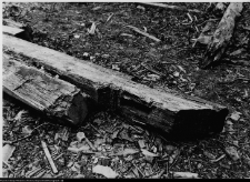 Szczuczyn, Dom Szczuk&oacute;w