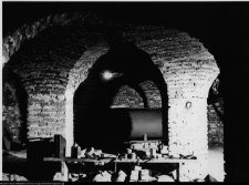 Szczuczyn, Dom Szczuków