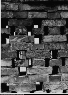 Szczuczyn, Dom Szczuków