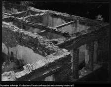 Makowlany, ruiny dworu