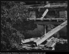 Makowlany, ruiny dworu