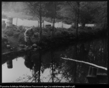 R&oacute;żyńsk Wielki, młyn