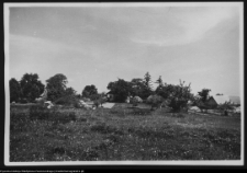 Łosośna, otoczenie dworu