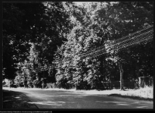 Supraśl, cmentarze (ewangelicki, katolicki)