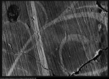 Supraśl, pobazyliański zesp&oacute;ł cerkiewno-klasztorny - freski