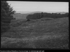 Szurpiły, grodzisko