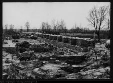 Tykocin, ruiny zamku