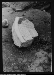 Tykocin, ruiny zamku