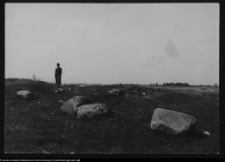 Tykocin, ruiny zamku