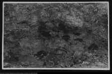 Tykocin, ruiny zamku