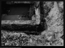 Tykocin, ruiny zamku