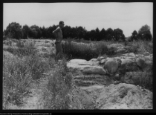 Tykocin, ruiny zamku