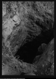 Tykocin, ruiny zamku