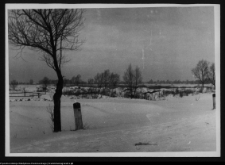 Tykocin, ruiny zamku