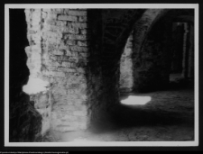 Tykocin, ruiny zamku