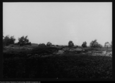 Tykocin, ruiny zamku