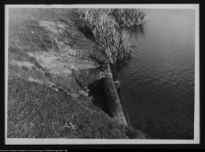 Tykocin, ruiny zamku