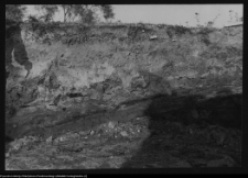 Tykocin, ruiny zamku