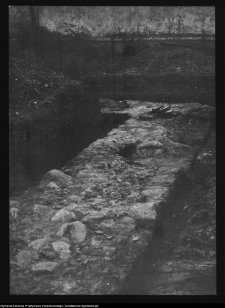 Tykocin, ruiny zamku