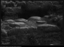 Tykocin, ruiny zamku